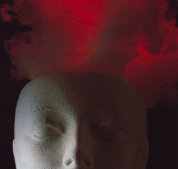 1d0061c6c133_image.png